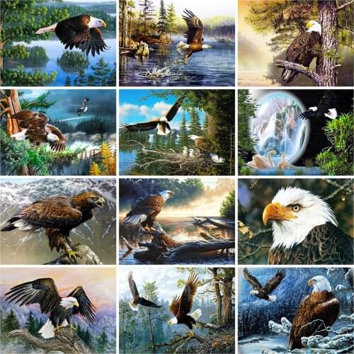 Evershine Full Square Diamond Painting Eagle 5D DIY Diamond Mosaic Animal Embroidery Cross Stitch Rhinestone Pictures Handicraft