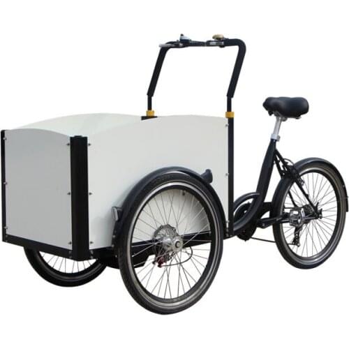 White Color Electric Mobile Cargo Bike Adult Tricycle Family Kids Scooter Vending Cart Customizable