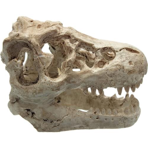 Decorative Crocodile Skull Resin Decor for Aquarium Terrarium Fish Tank Ornament Figurines Miniatures DIY Home Decorations