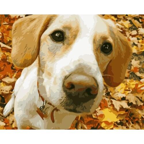 MaHuaf-i644 cute dog on maple leaves DIY painting by Numbers animal Hand-painted canvas digital oil paintings for living room