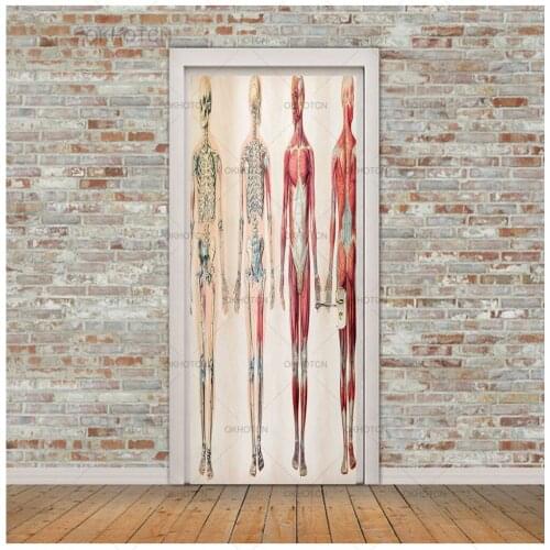 Door Stickers Medical Human Model Decal Modern Bedroom Decoration Sticker Poster 3D DIY Self Adhesive Waterproof Wallpaper Mural