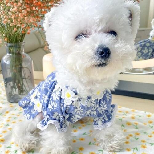 Blue Beautiful Lace Border Of Flowers Dog Princess Dress Flower Printing Ruffled Hem Polyester Two-legged Pet Skirt For Party