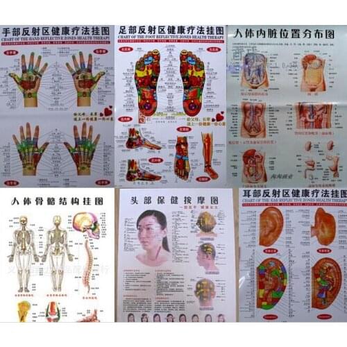 Free shipping 10 pcs Scrapping healthcare human acupuncture wall chart diagram foot hand head ear acupuncture meridian chart