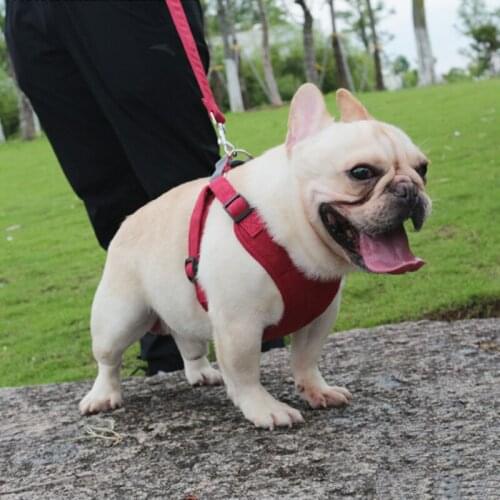 Pet Dog Harness Adjustable Deerskin Wool Reflective Safety Dog Harness Suitable For Small And Medium-Sized Dogs Matching Leash