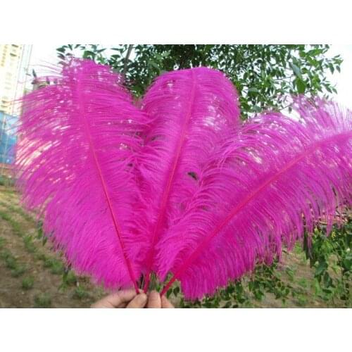 Manufacturers sell 50 pcs high quality rose ostrich feathers 20-22 inch 50-55 cm Wedding decoration