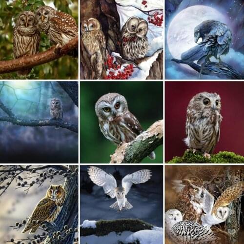 40/50/60diamond painting 5D Full Square embroidery mosaic Cross Stitch animal owl DIY Wall Sticker home Decoration festival Gift