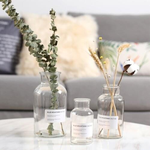 Transparent glass Nordic ins wind vase home floral decoration ornaments hydroponic plant bottle