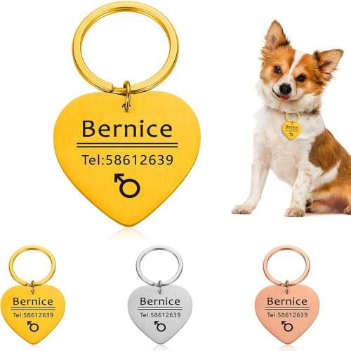 Personalized Collar Accessories Dog ID Tags Stainless Steel Pet ID Tags for Cats and Dogs Dog Tag Engraved Tel Sex NameTag