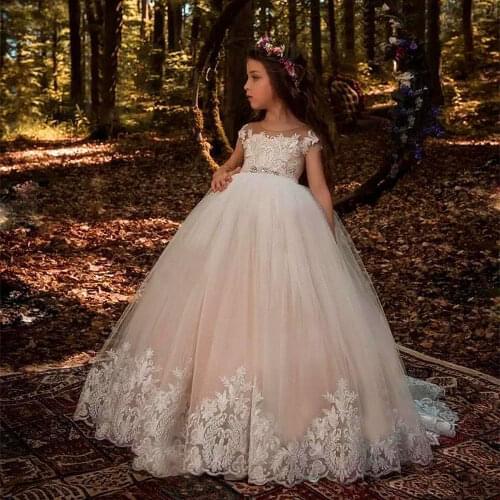 Flower Girl Dress with Sheer Back Appliqued Girl Pageant Dress Party