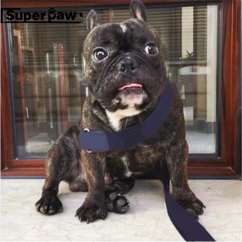 New Style Pet Dog Harness Leash Set for Dogs Pets Puppy for Small Medium Large Dogs Leading Accessories AQL07