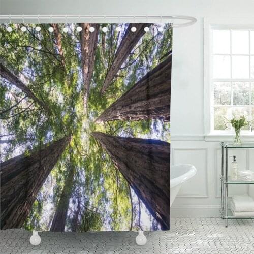 Colorful Sequoia Redwood Forest California Red Giant Sempervirens America Shower Curtain Waterproof Fabric 72 x 78 Inches Set