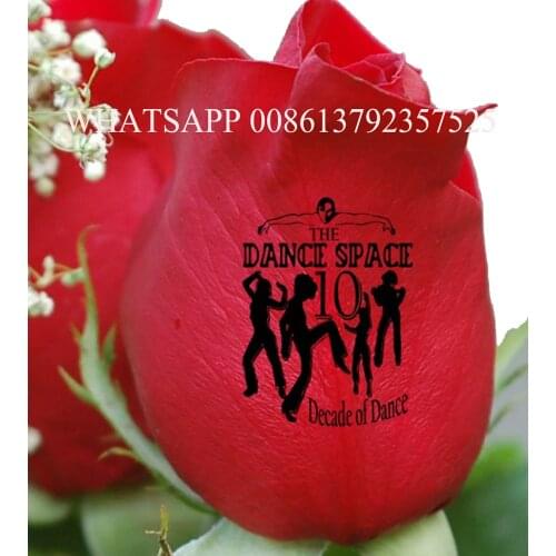 3 years warranty CE digital nail printing machine 3 roses printing machine