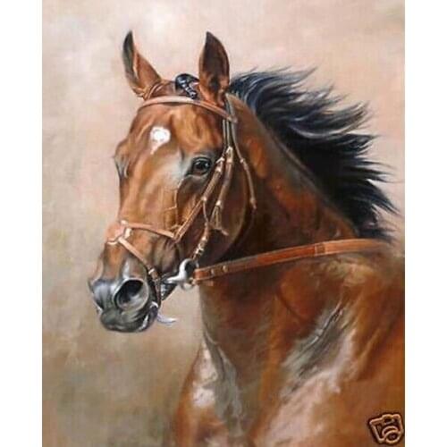24X36inch MODERN ABSTRACT HUGE CANVAS ART Hand OIL PAINTING horse