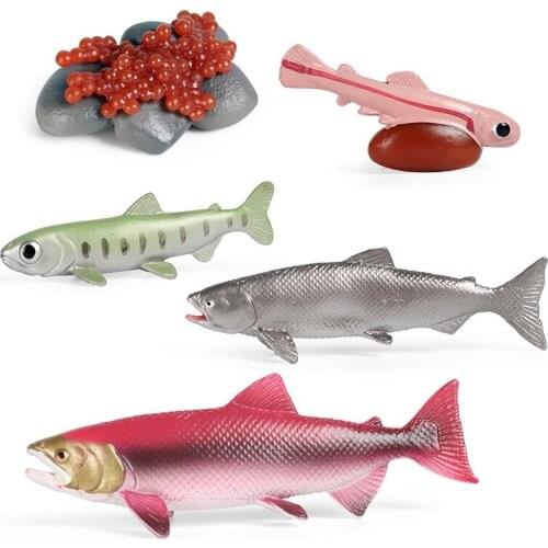 Ocean Marine Animals Simulation Sea Life Salmon Growth Cycle Model Action Figures Miniature Education Cognitive Kids Toy