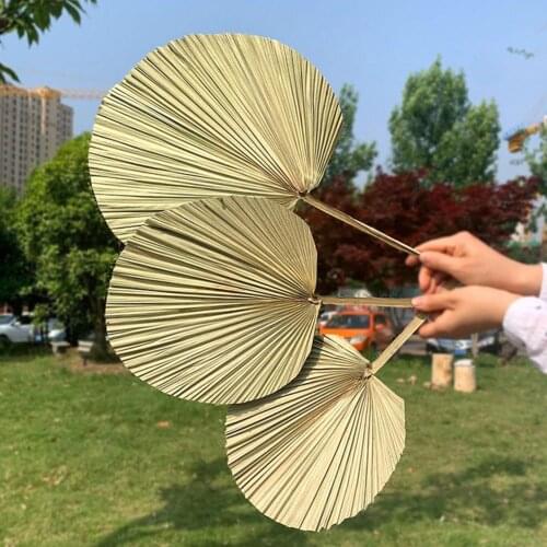 Dried Palm Leaf Oderless Shop Window Reception Party Wedding DIY Wall Decor Hanging Decoration Wedding Arch Arrangement