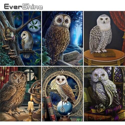 EverShine Diamond Painting Animal Cross Stitch Diamond Embroidery Owl Full Square Mosaic Picture Of Rhinestones Handmade Gift
