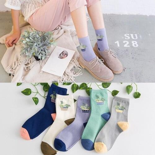 ZDL-267 Korea Small Pure Fresh Women Flowerpot Cotton Socks Comfortable Plant Cactus Sock 30 pairs
