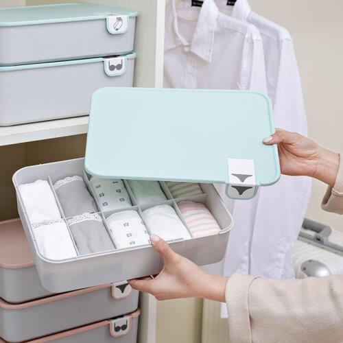 BOXI Organizers For Storing Things