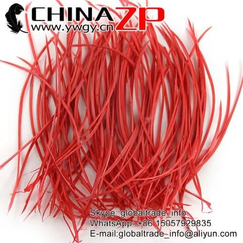CHINAZP Factory Wholesale 300pcs/lot Size 20-25cm Fantastic DIY Decoration Watermelon Red Stripped Goose Biots Loose Feathers