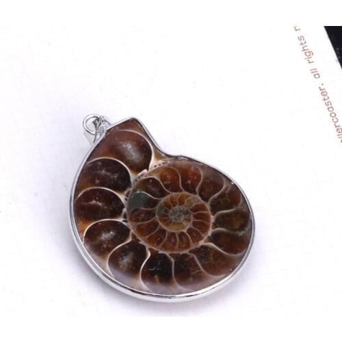Natural Stone Ammonite Fossils Seashell Snail Pendants Loose Beads DIY