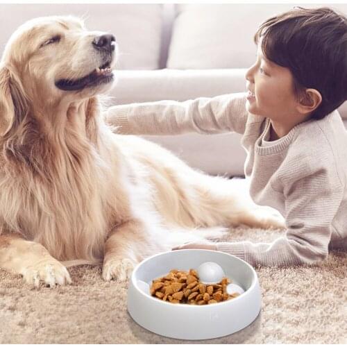Pet Dog Feeding Bowl Control Diet Dog Bowl Slow Feeder Anti-swallowing Dog Food Bowl Slow Down Eating Dog Cats Non-slip Dog Bowl
