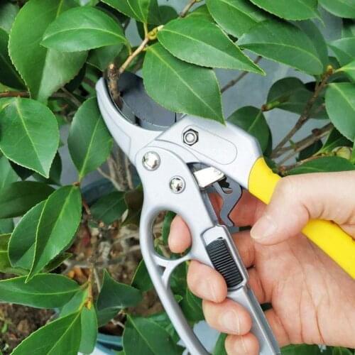 3 Colors Practical High Efficient Garden Sharp Clipper Easy to Use Picking Cutter Convenient for Garden