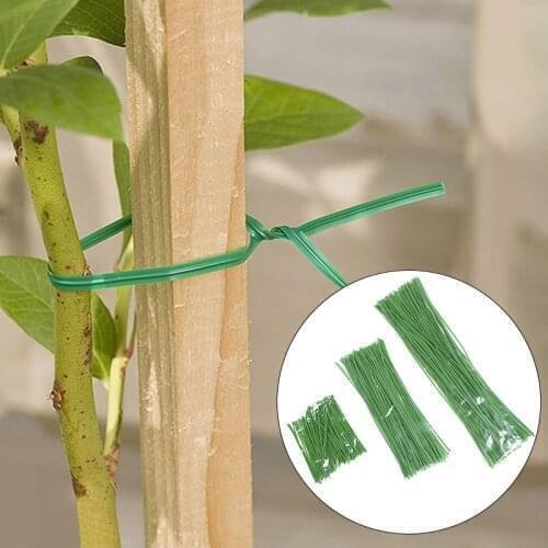100Pcs Plastic Green Grape Rattan Supports Gardening Vine Climbing Plants Twist Ties Cable Tie Lines Home Office alambre bonsai