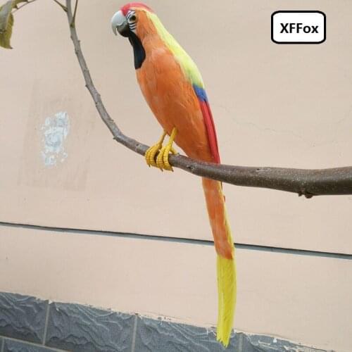 Big real life parrot model foam&feather simulation orange parrot bird gift about 60cm xf2473