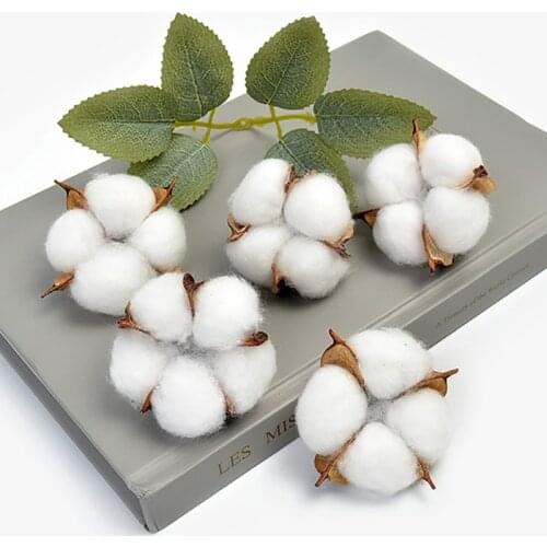 10PCS Artificial Cotton Head Natural Fake Flower Wedding Car Decorative Wreaths Christmas Home Decor DIY Gifts Box