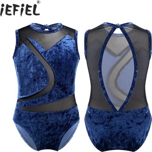 Kids Sleeveless Gymnastics Leotard Jumpsuit Bodysuit Pleuche Mesh Splice Professional Ballet Leotards for Girls Dance Costume