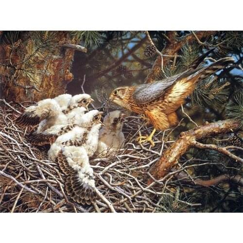 5D Diy Diamond Painting Animal Bird Cross Stitch Kit Full Drill Embroidery Mosaic Art Picture of Rhinestones Decor