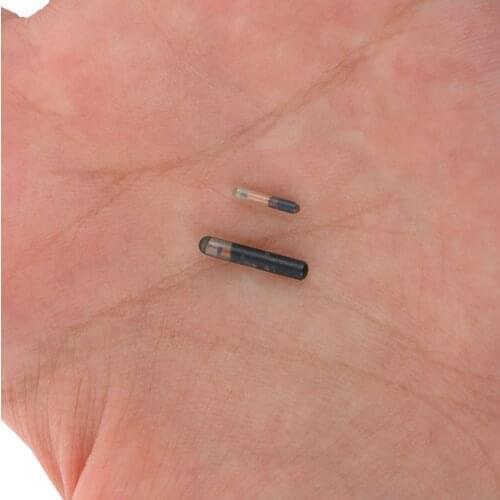 125KHZ/134.2KHZ 2.12*12mm/1.25*7mm Microchip Animal RFID Tag With EM4305 Chip ISO11784/5 FDX-B For Fish Dog Cat Idetification