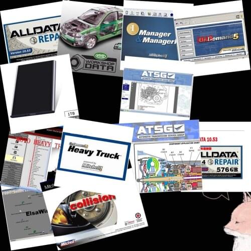 2020 High quality Alldata and Mit..ell Software fast ship All data +AutoData+m..chell on de..nd 5+ElsaWin+Vivid+atsg 1tb HDD