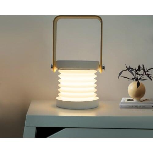 Mannanov LED Table Lamps
