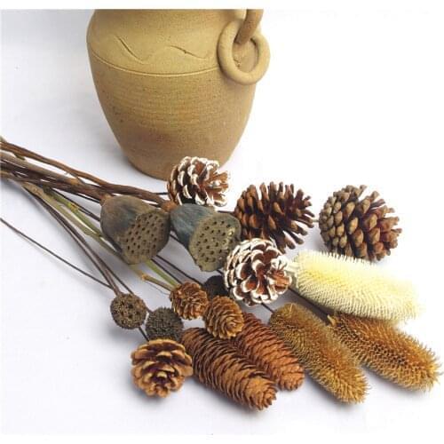 1Pcs Dried Flowers Natural Spruce Pine Cone Lotus Handmade Plants Flores Secas Party Home Decoration Diy Crafting Accessories