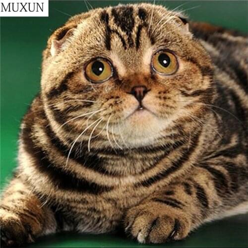 MUXUN Diy 5d Diamond Cartoon Animal Cartoon Round Cat Diamond Mosaic Decent Home Embroidery Pattern Home Decoration Gift A80134