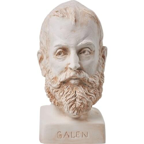 Galen Statue 15*10*10