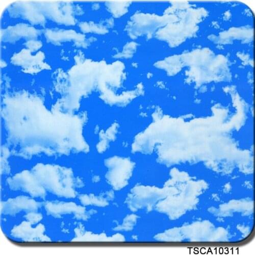 TSAUTOP Size 1m x 10m water transfer film water transfer printing kit WDF10311