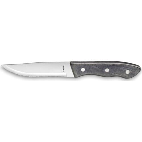 Knife for Chops Amefa Hercule XL