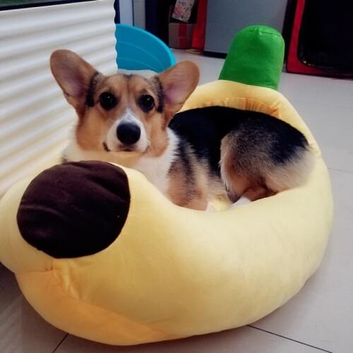 The dog pet nest nest banana cartoon litter in a small dog dog dog and cat winter washable mat corgi dog