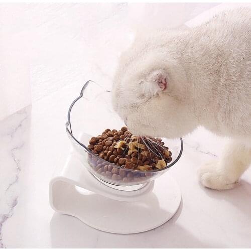 Pet Dog Cats Feeding Bowl Detachable Tilted Feeder Pet Raised Bowl Food Water Feeding Bowl With Elevated Stand