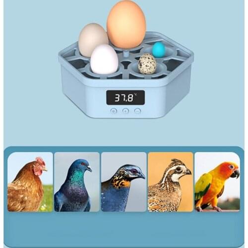 Egg Incubator Poultry Incubator Brooder Farm Hatchery Egg Incubator Chicken Duck Bird Pigeon Hatcher Hatching Brooder Small Bird