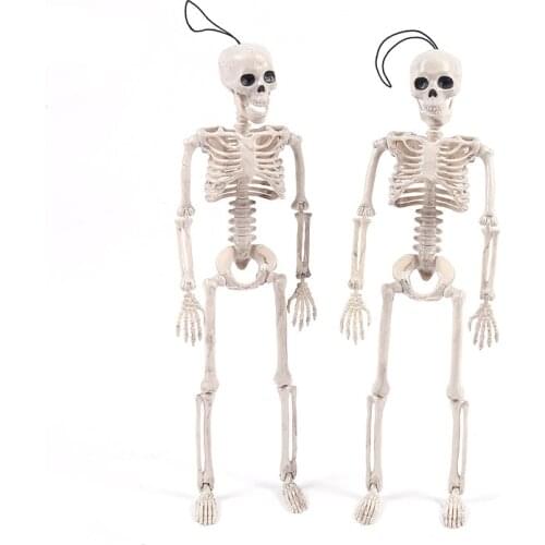 Halloween Skeleton Skeleton 16 Inches Model House Toys Decoration Posable Skeleton Full Body with Movable Joints Skeleton