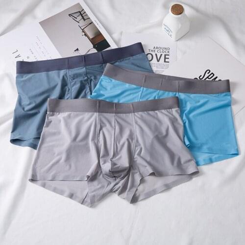 3pcs/Lot Ice Silk MeshMen Plus Size Men Underwear Boxer Shorts Mens Sexy Underpants For Men Panties