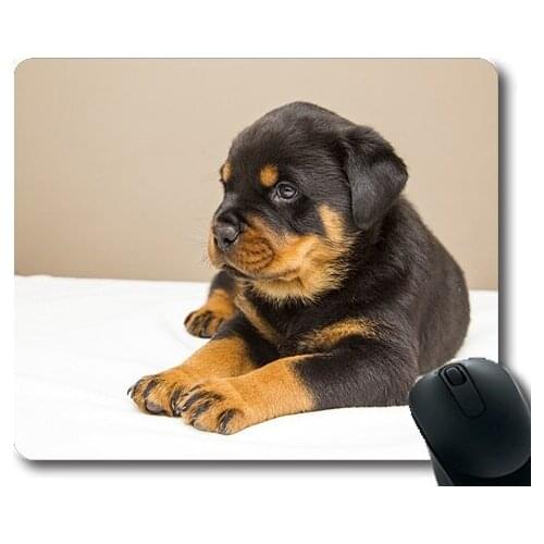 Dogs puppies pets Mouse Pads,Rottweiler Puppy Sweet Dog Animals Dogs Cute,dogs mouse mat