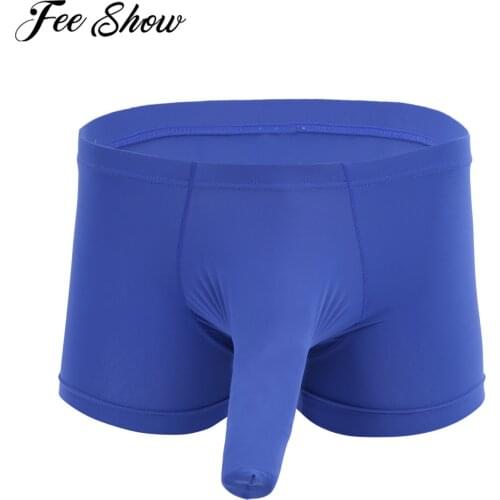 Sexy Men Erotic Lingerie Stretchy Briefs Underwear Male Silk Translucent Boxer Shorts Underpants & Closed Penis Sheath Costume