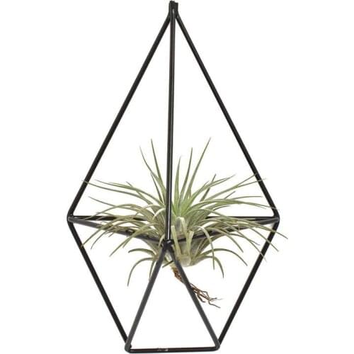 1 Pcs Rustic Wall Mount Hanging Irregular Pentagon Geometric iron Tillandsia Air Plants Holder Rack Black Wall Accent Decor (Bla