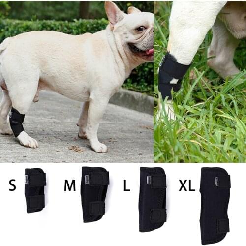 2020 Dog Recovery Sleeve Pet Wounds Extra Supportive Dog Canine Rear Leg Hock Joint Wrap Protects Bandage Puppy Protect S/M/L/XL