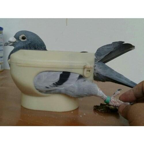 Free shipping white Pigeons holder feeding holder Racing eye mounts thimble auxiliary taking photos