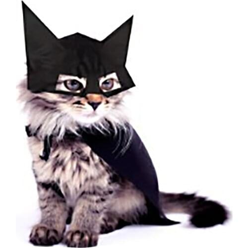 Pet Accessorie Cat Funny Mask Headgear Cat Halloween Accessorie Bat Mask Funny Supplies Cat Halloween Hat Headgear Pet Headgear